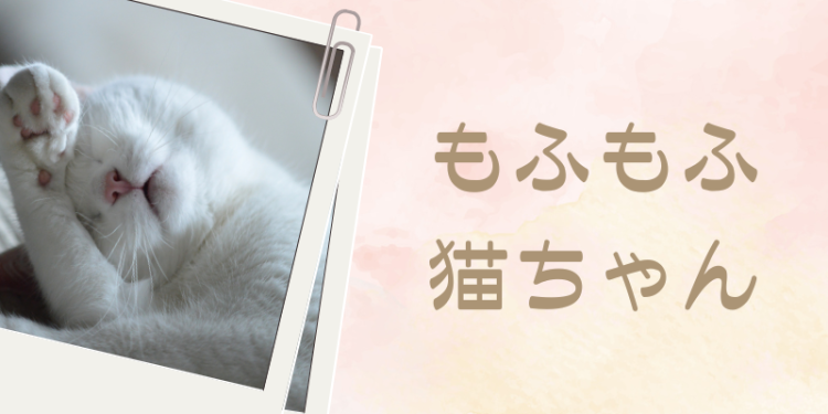 カワイイがいっぱい！ワンダーランド